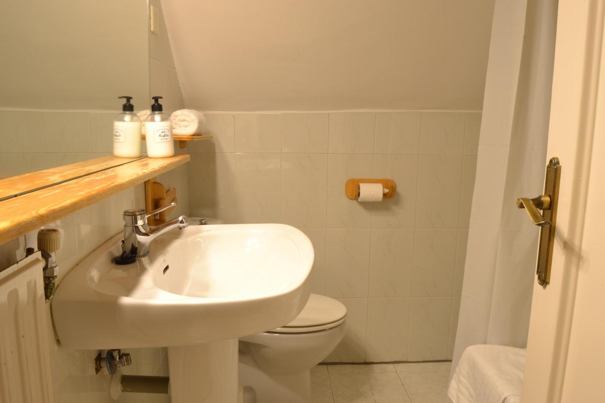 Balaitus Petfriendly - Arafita Apartamentos Sallent de Gállego Exterior photo